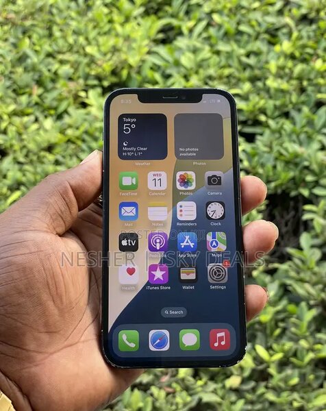 iPhone 12