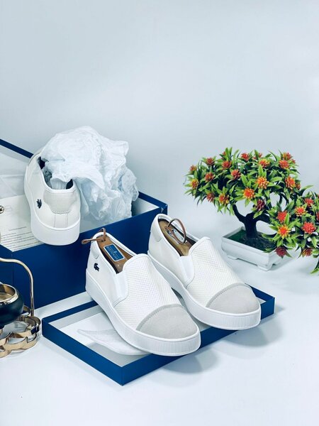 Lacoste Shoes