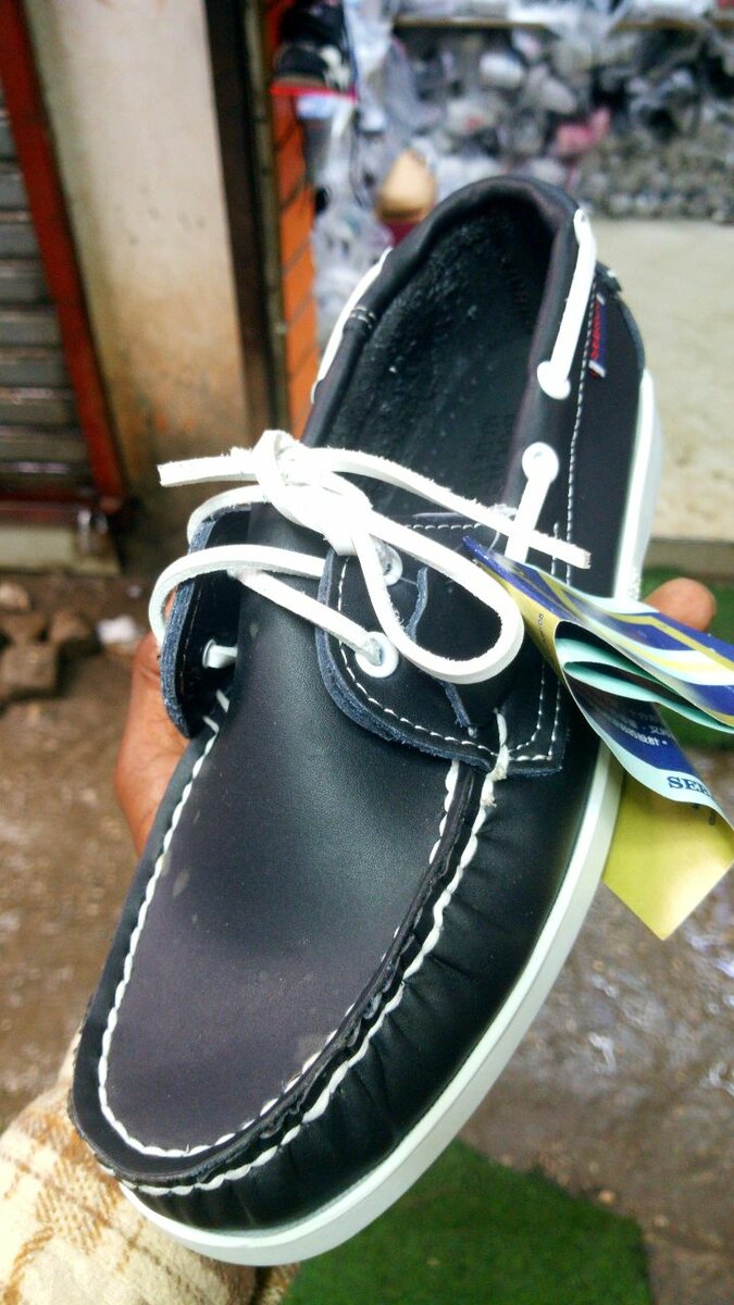 Sebago