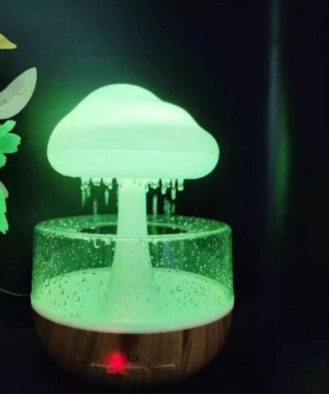 Rain humidificateur portable