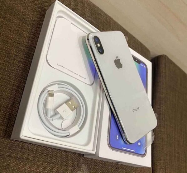 iPhone X