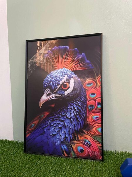 Picture Frames