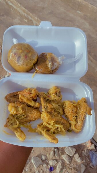 1/2 aile de poulet