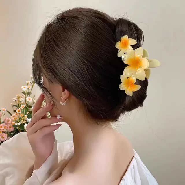 Ani Claw clips