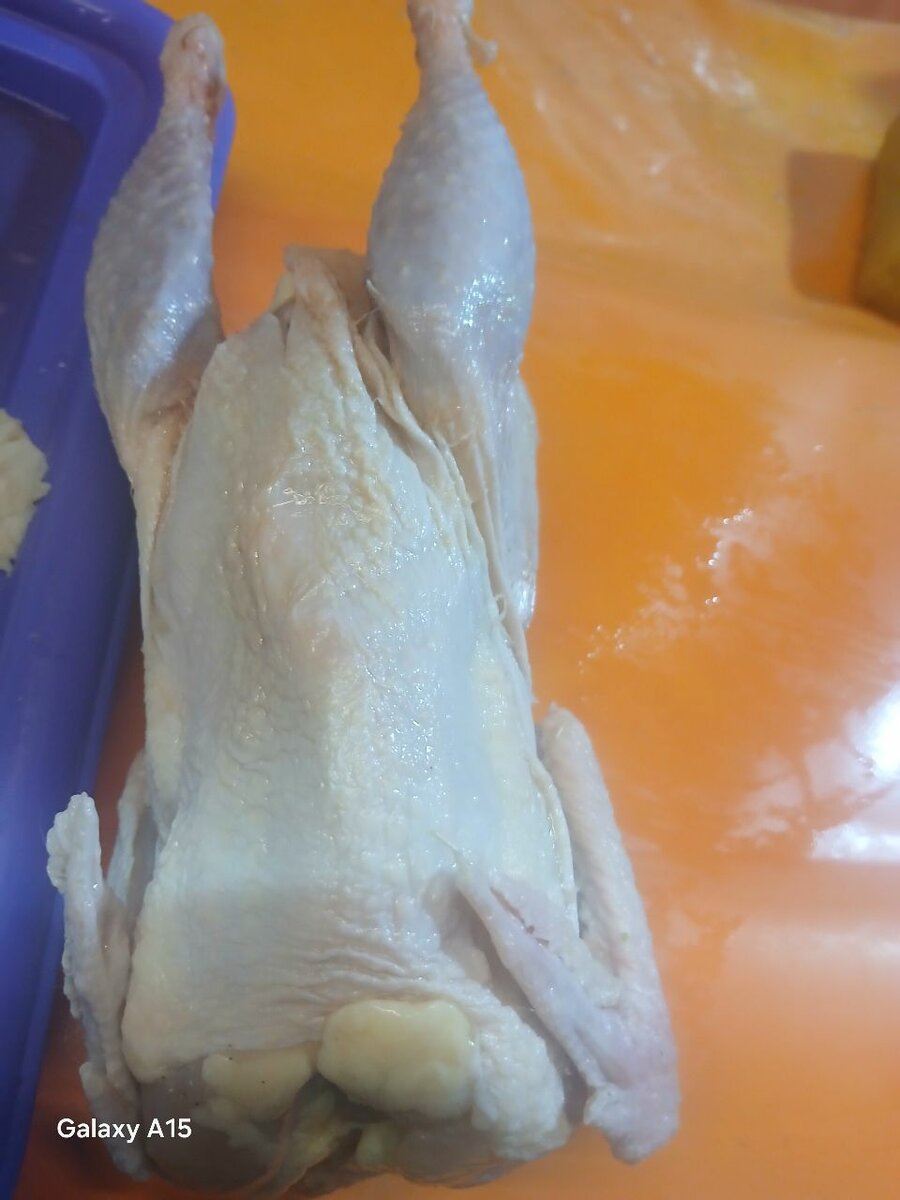 Poulet pondeuse