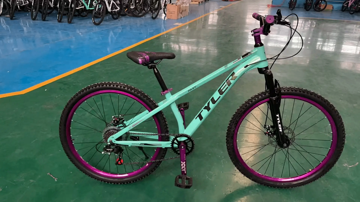Vélo tout-terrain Tyler coloré