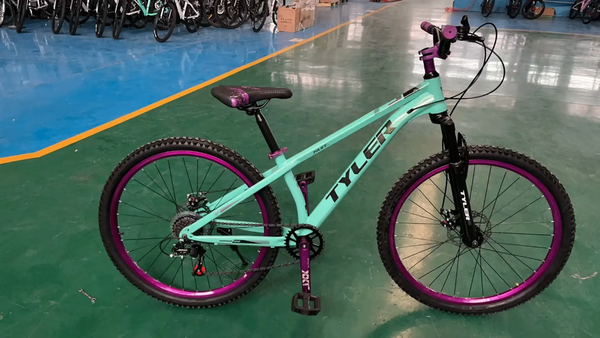 Vélo tout-terrain Tyler coloré