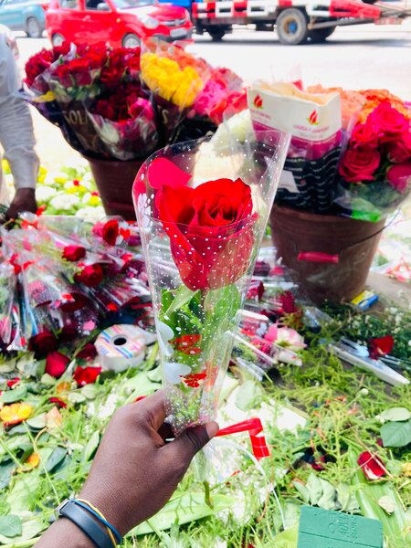 Roses
