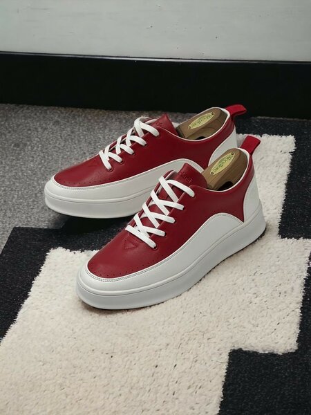 Timberland Men Shoe