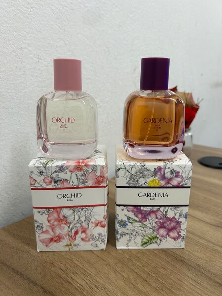 Zara feminine perfumes