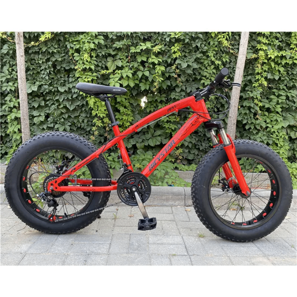 VTT Fat Bike pour Aventure