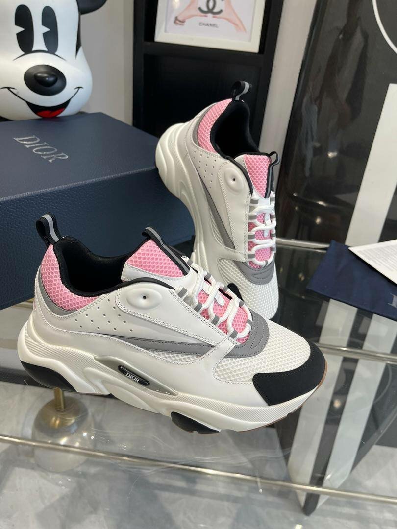 DIOR B22