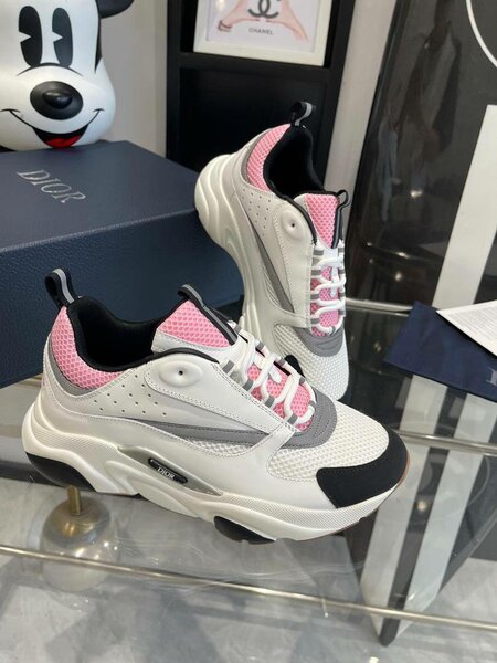 DIOR B22