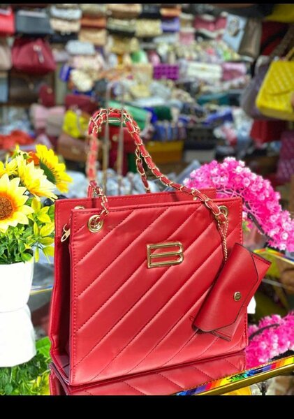 Ladies hand bag