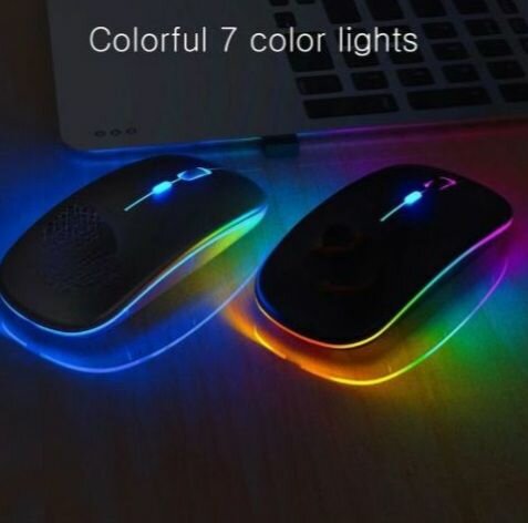 Souris