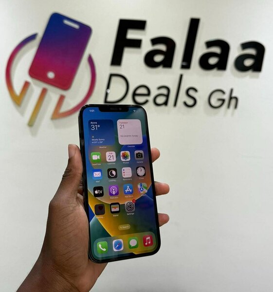 iPhone 12 pro max