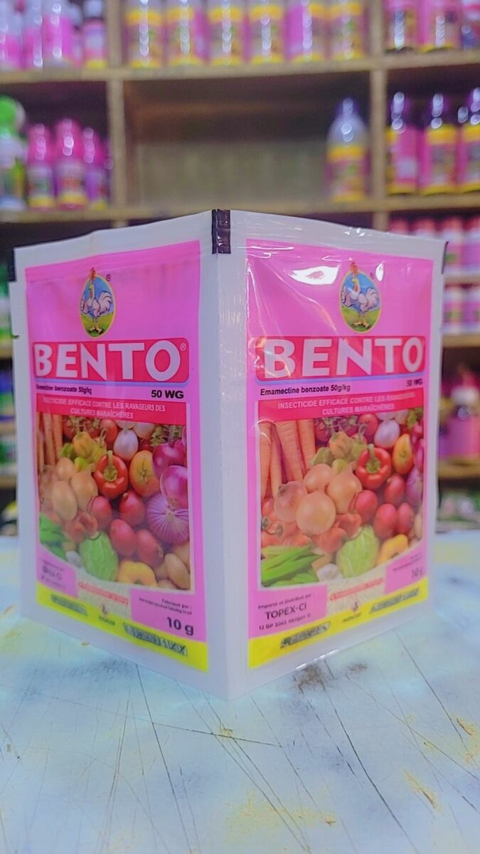 BENTO 50 wg