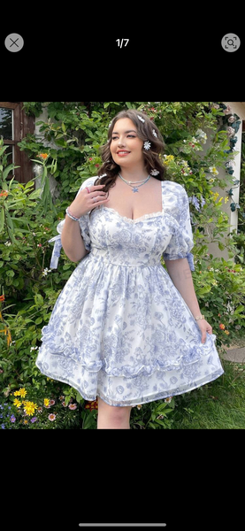 Ladies dress