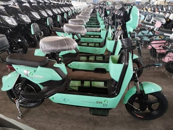 Electric bike