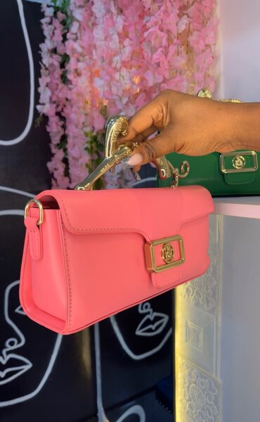 Ladies handbag