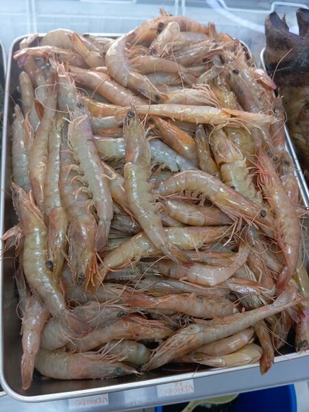 Grosses crevettes