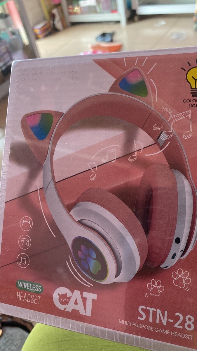 Casque