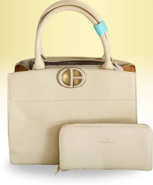 bag & purse combo