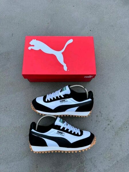 Chaussure puma