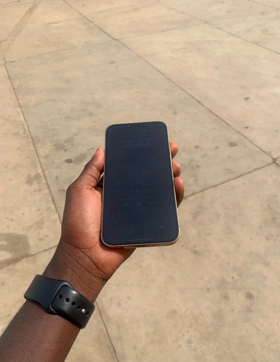 iPhone 13 Pro Max