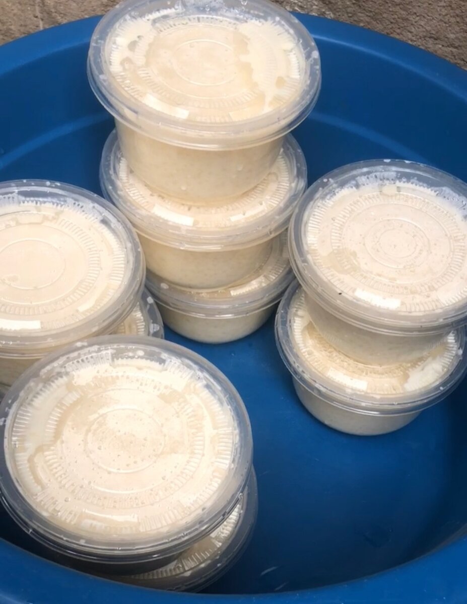 Dèguè à baser de couscous