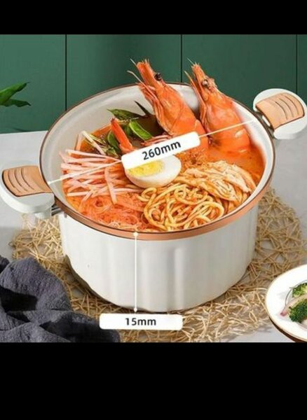 Cast Iron Stock Pot