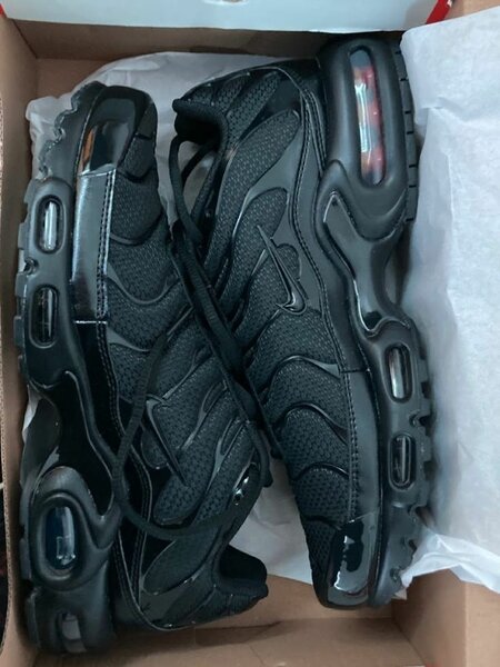 TN disponible