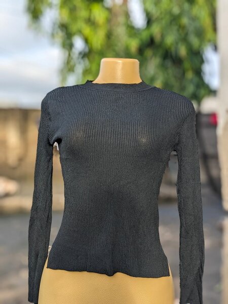 Ladies top