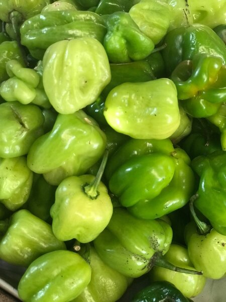 Fresh pepper