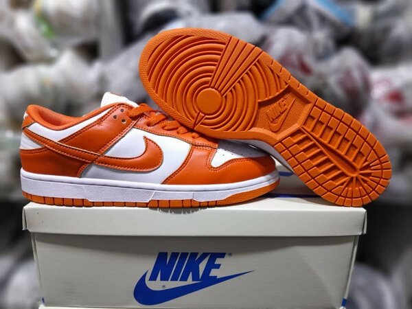 Chaussure SB NIKE