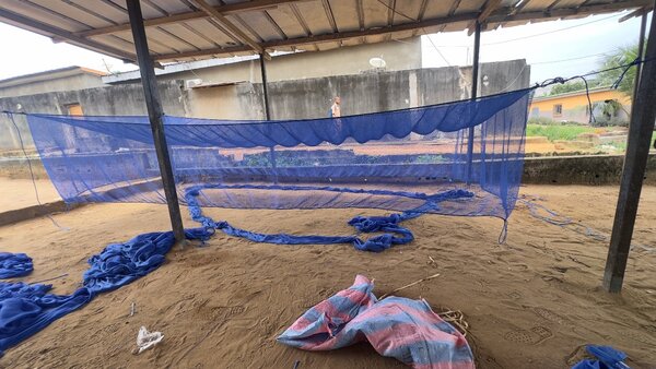 Cage de stockage