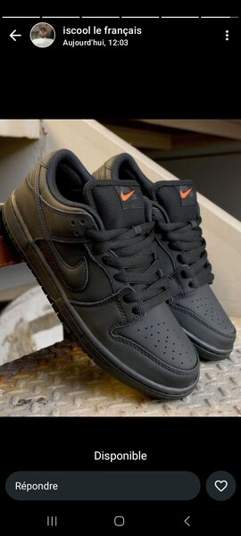 Nike sb