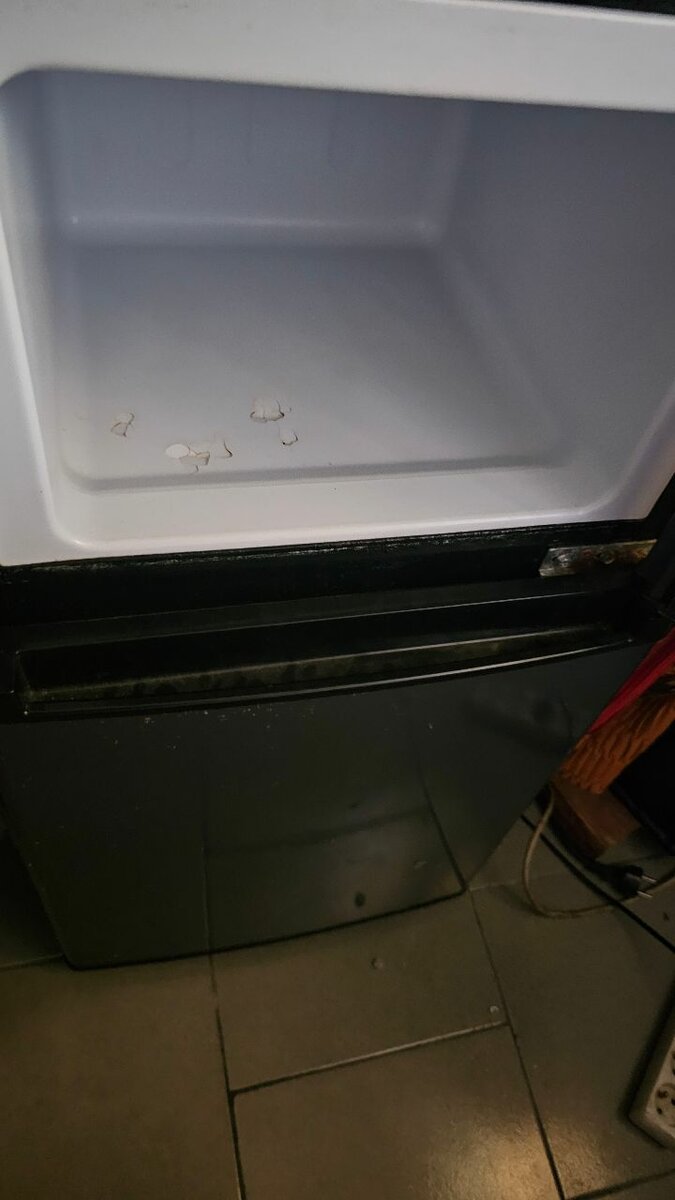 Frigo 85 L Smart