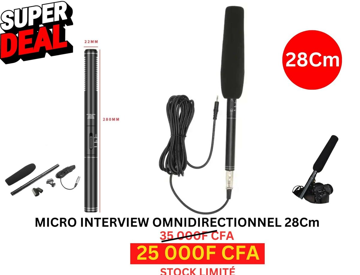 Micros PROFETIONNELS 