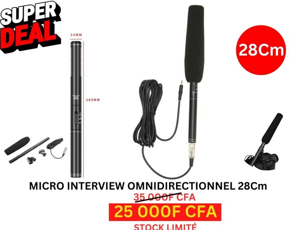Micros PROFETIONNELS 