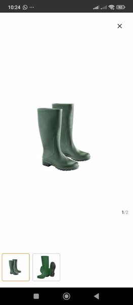 Bottes