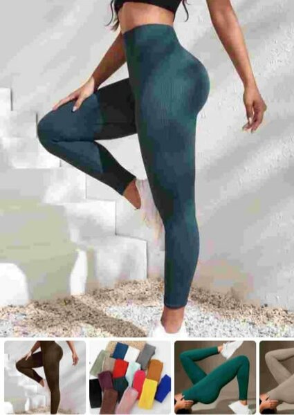 COLLANT LONG MA BIO 10 000 LA DOUZAINE   100% coto
