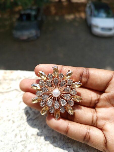 Elegant brooch