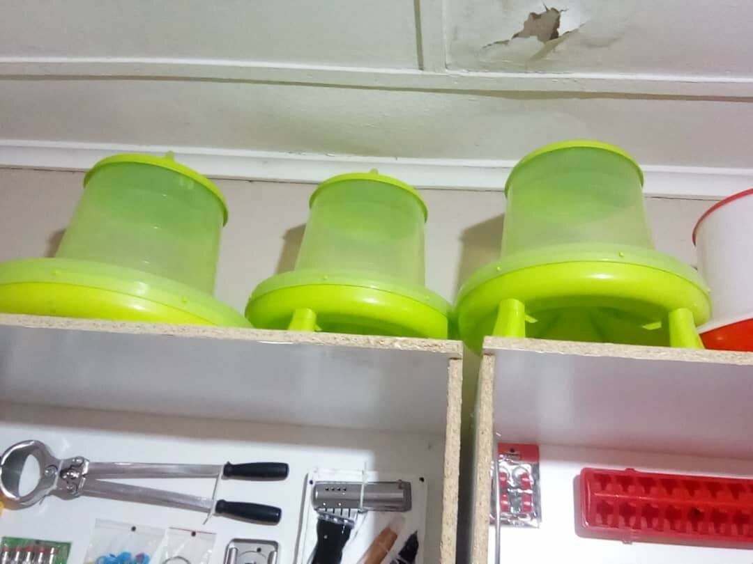 Chicken feeders