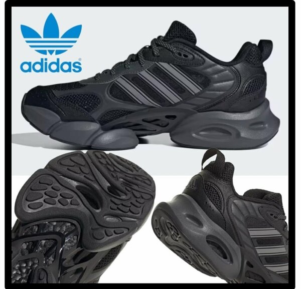 Adidas Sneakers Confort et Style
