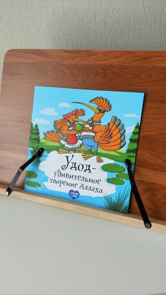Удивительные творения Аллаха