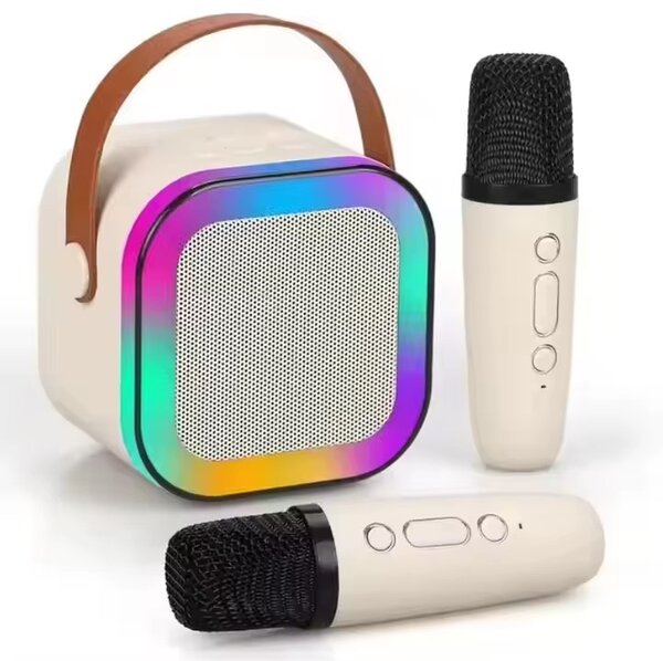 Karaoke Set with 2 mic