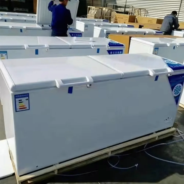 Deep freezer