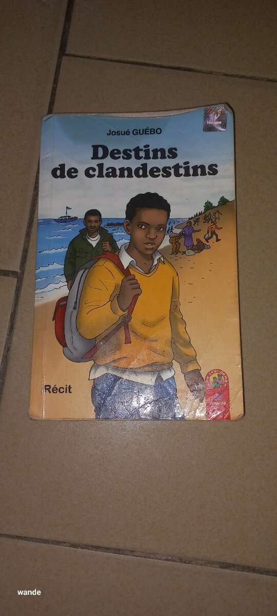 Destins de clandestins - Livre captivant