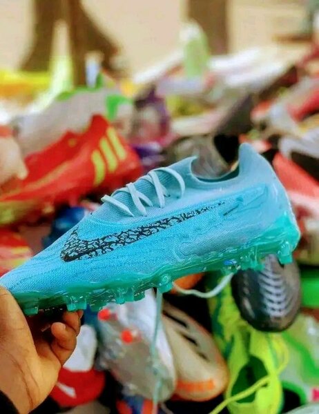 Paire de magret